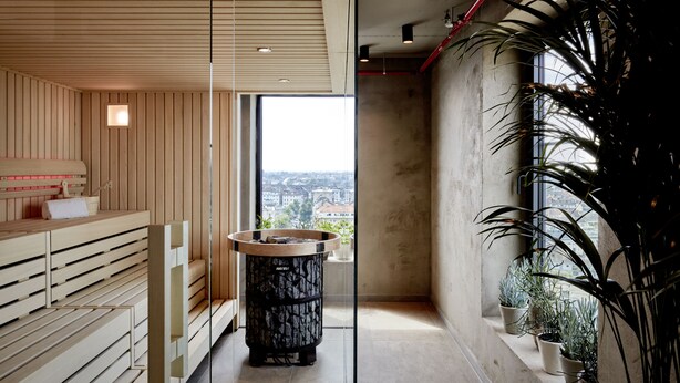Un spa moderno con bancos de madera, una pileta de piedra y plantas en macetas.