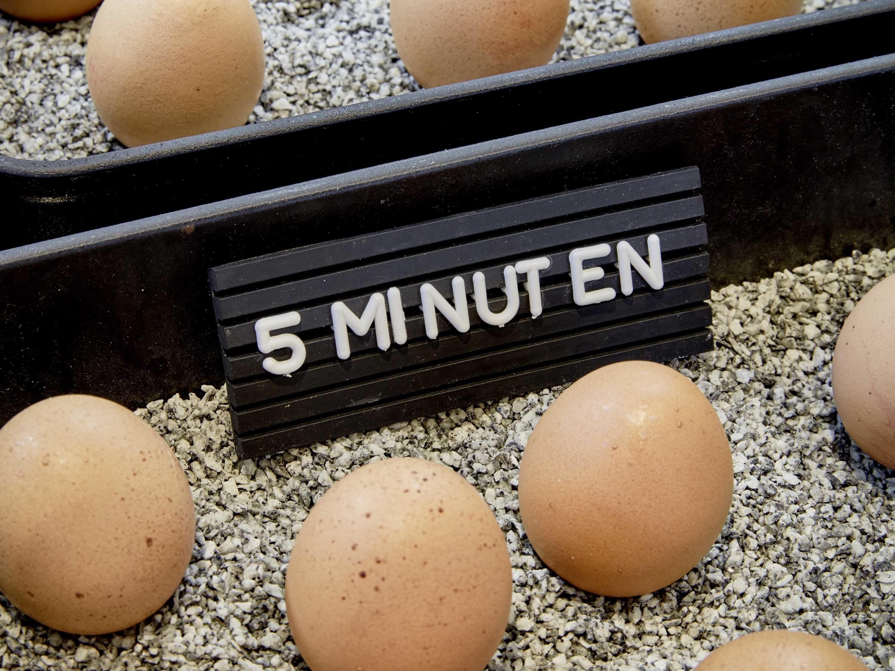 daily buffet breakfast (eur 29 per person)