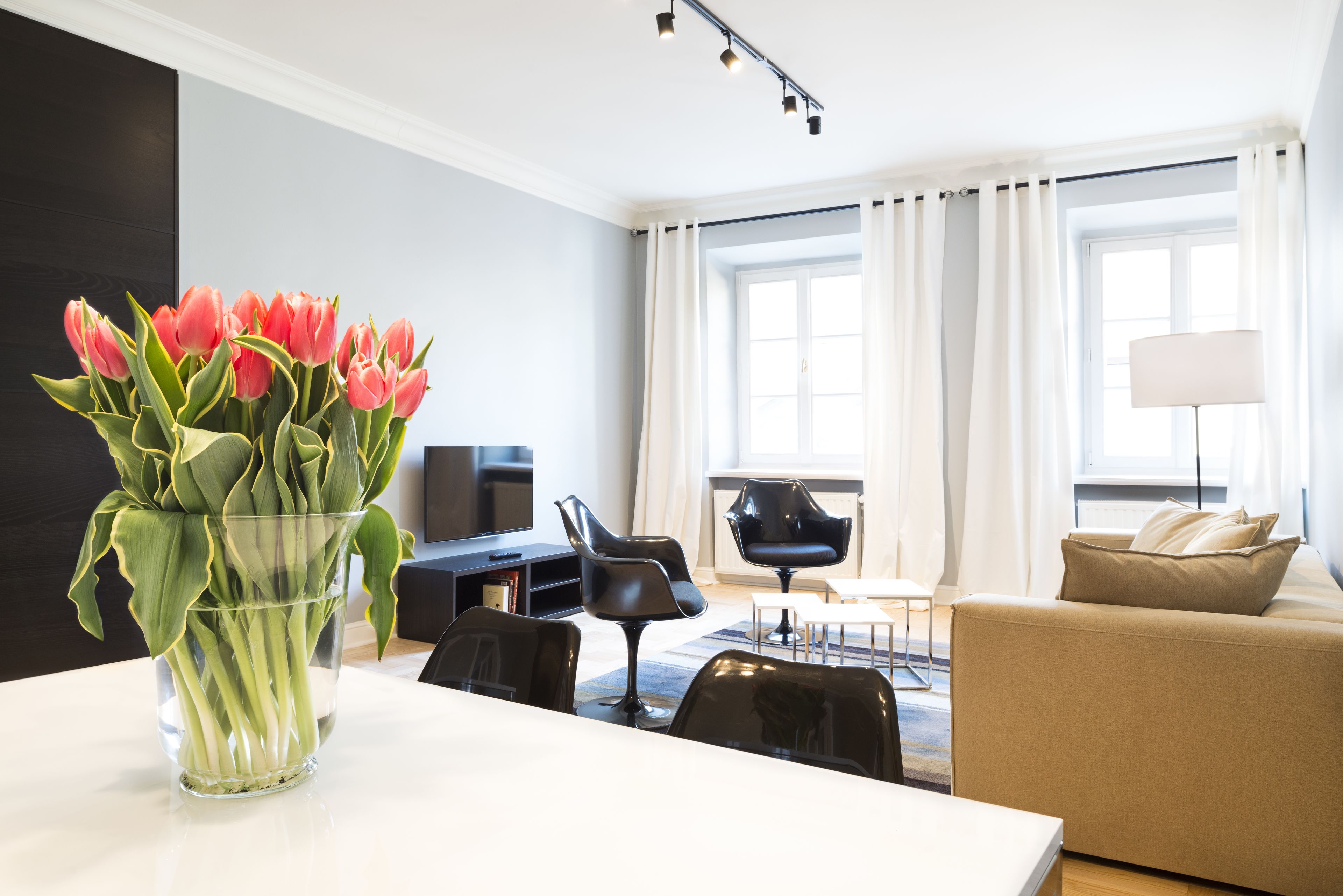 apartment, 1 bedroom | living room | 50-inch smart tv with satellite channels, tv