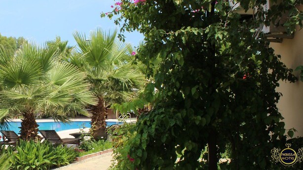 A pool area with palm trees and lounge chairs, surrounded by lush greenery and a pergola. - Nerissa Hotel - Special Class (Kemer)