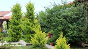 A garden with various plants and a gazebo. - Nerissa Hotel - Special Class (Kemer)