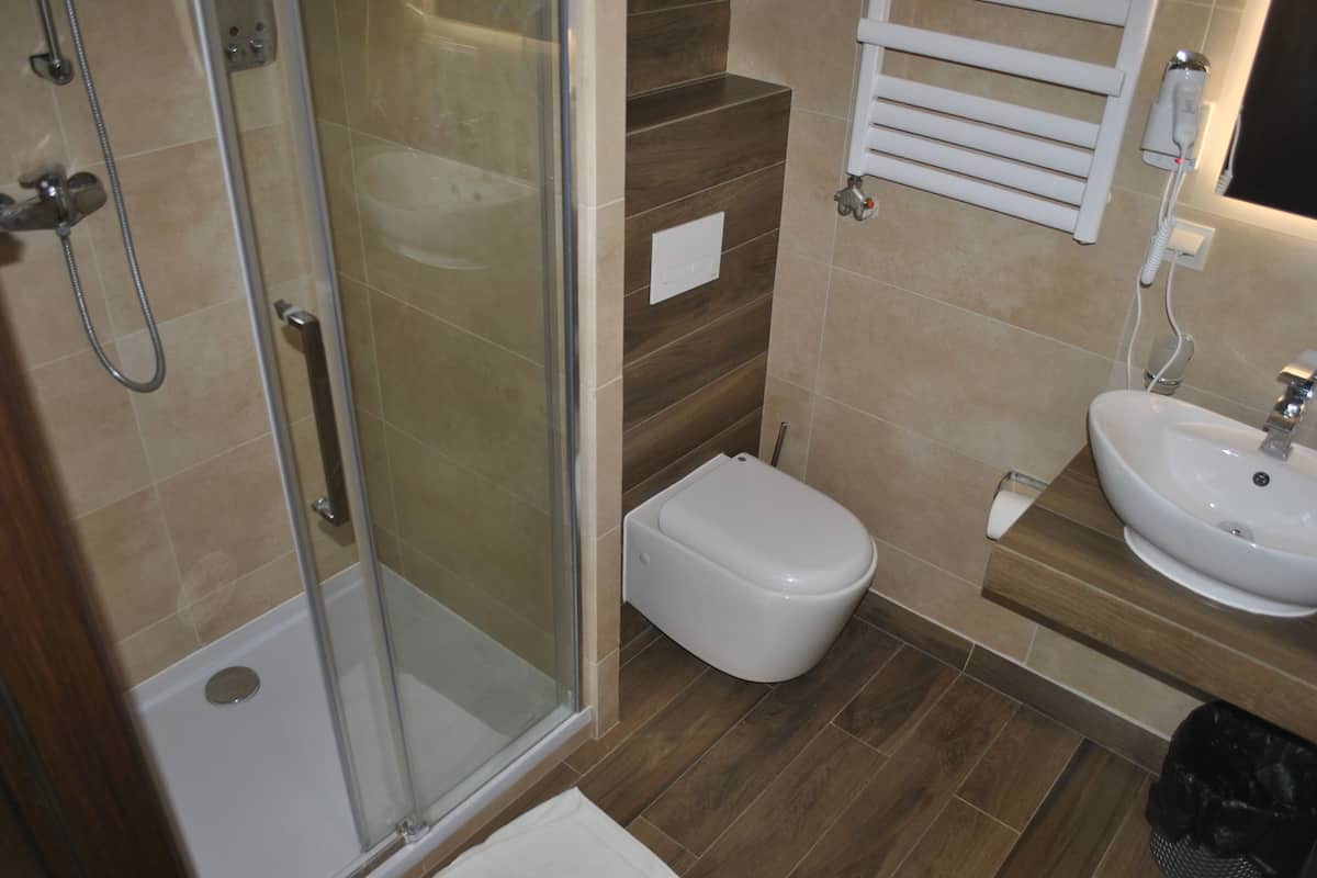 shower, free toiletries, hair dryer, towels