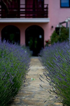 Exterior - Villa Stari dvor (Preko)