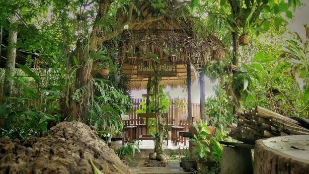An outdoor seating area with wooden tables and chairs, surrounded by lush greenery and hanging plants. - Mon Saeng Jun Homestay (Phrao)