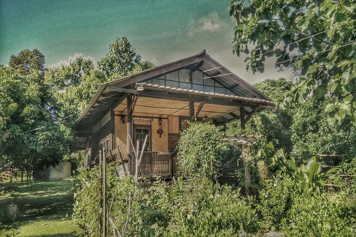 A rustic wooden house with a sloped roof, surrounded by lush greenery and trees.
