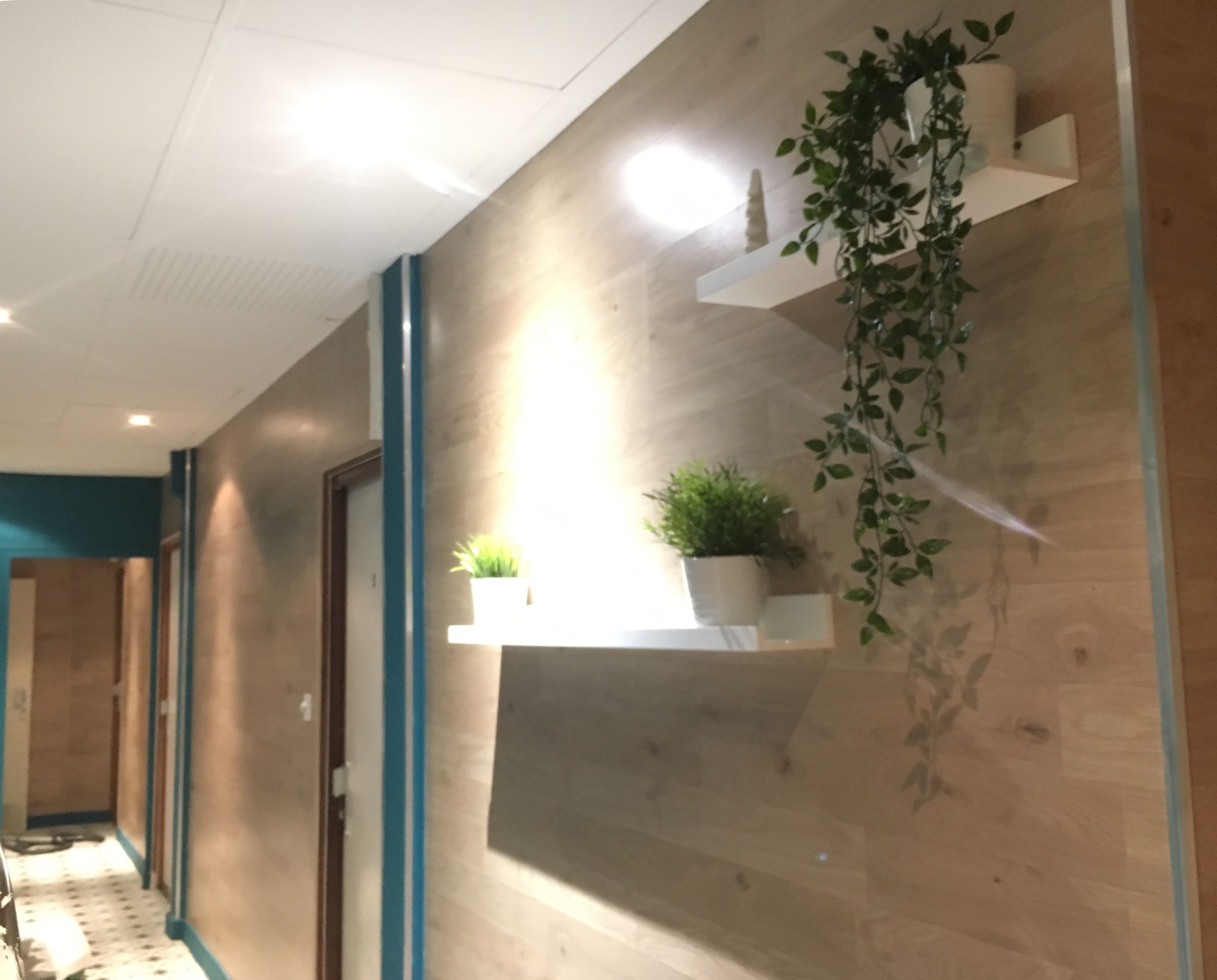 Un couloir aux murs en bois, avec un mur d’accent bleu et une plante suspendue. On y trouve deux étagères blanches ornées de plantes en pot.