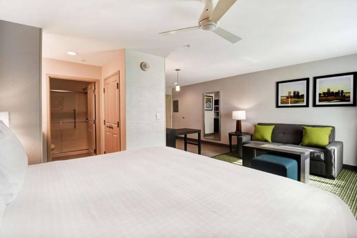 A hotel room with a bed, a desk, a sofa, a ceiling fan, and a shower.
