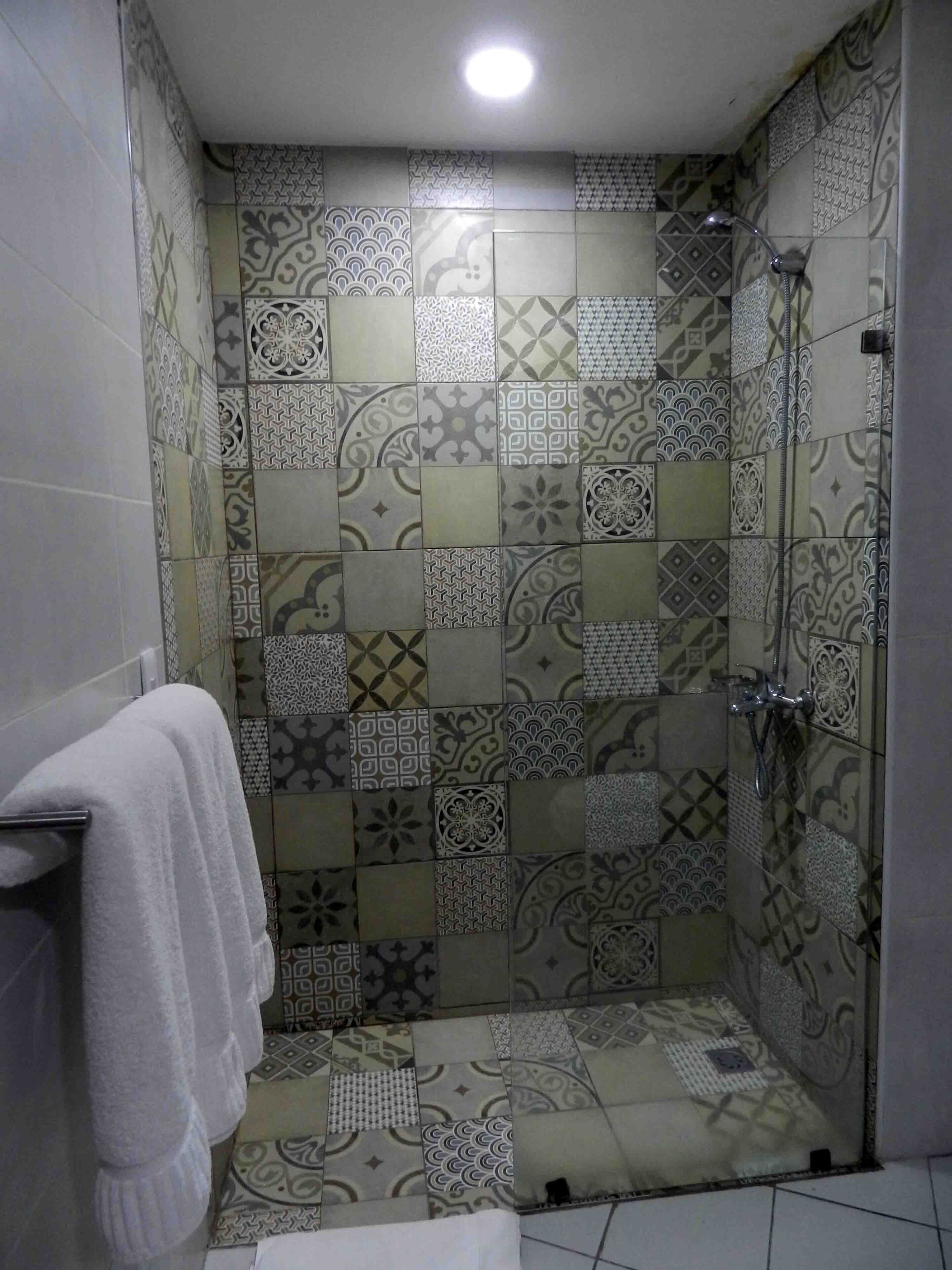 deluxe double room | bathroom shower