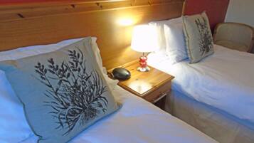 Standard Twin Room | 1 bedroom, minibar, desk, soundproofing