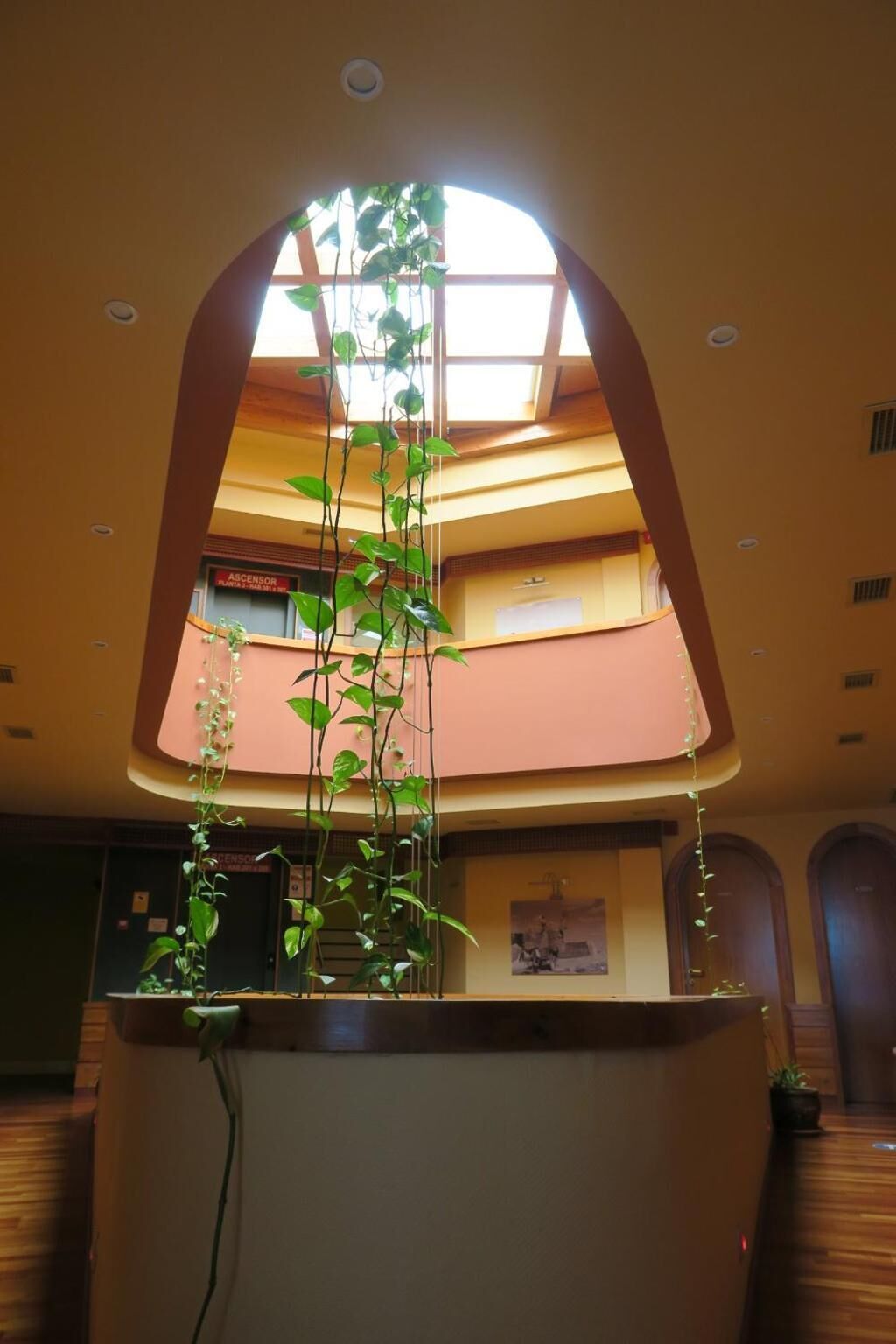 Un vestíbulo con una planta central, tragaluces y un cartel que dice "ASCENSOR PLANTA 2".