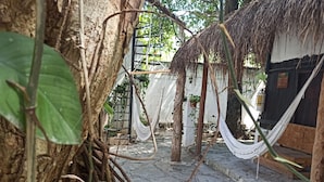A rustic outdoor area with a hammock, a tree, and a stone pathway. - Nativ Tulum Hotel Boutique (Tulum)