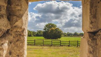 A stone archway framing a view of a grassy field with a wooden fence and a tree.