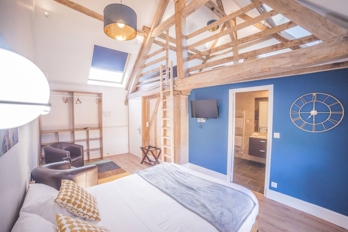 A bedroom with a lofted sleeping area, a bed with patterned pillows, a wooden ladder, a TV, and a blue accent wall.