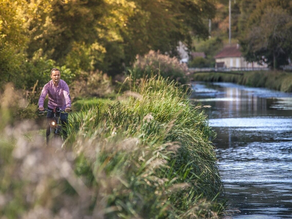 A person riding a bicycle along a canal with lush greenery and a building in the background.