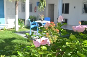 Garden - Posada Gota de Sal Tulum (Tulum)
