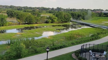 Un parque con un sendero, un estanque pequeño y un puente.