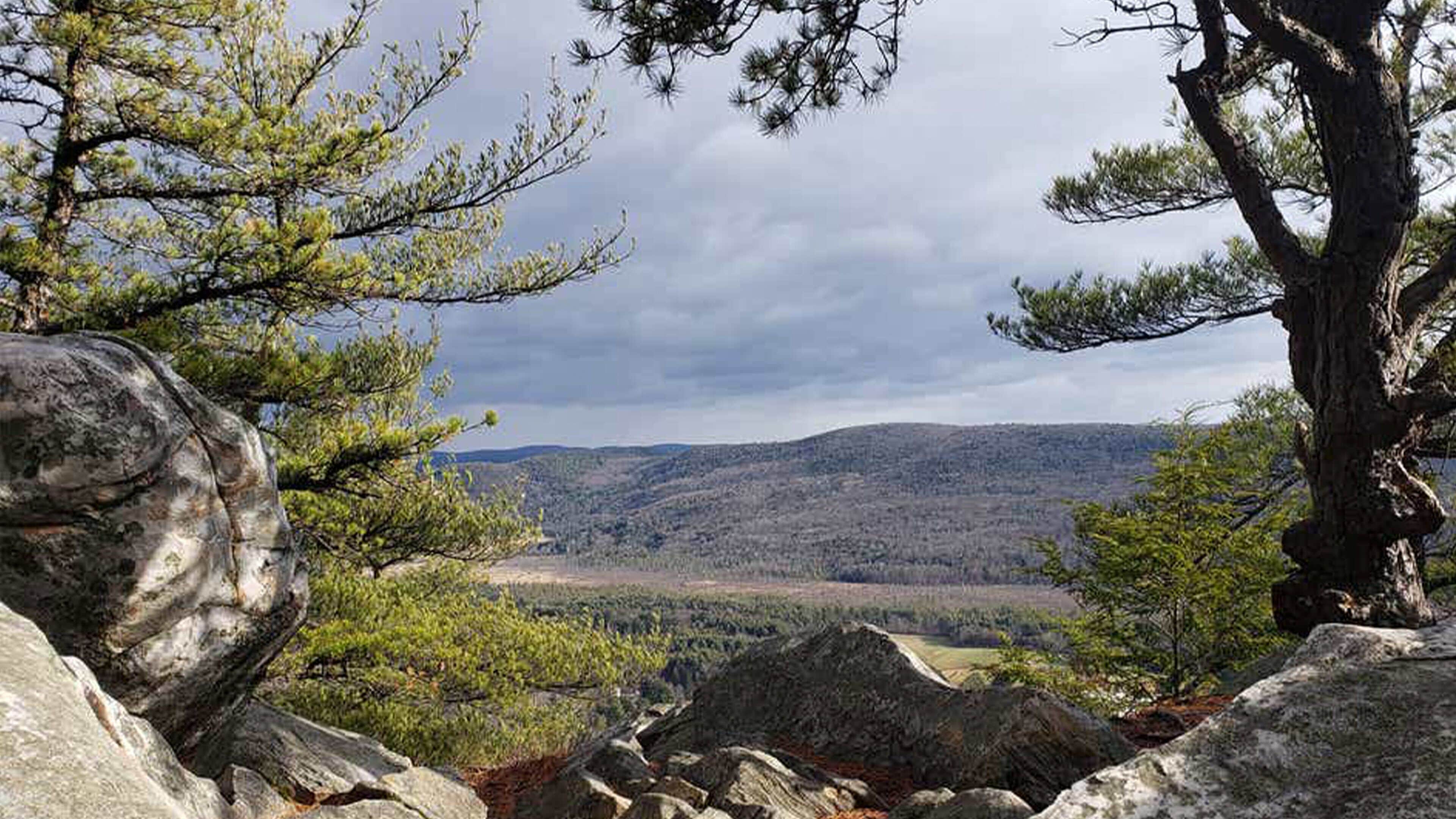 A mountainous landscape with rocky terrain and pine trees.