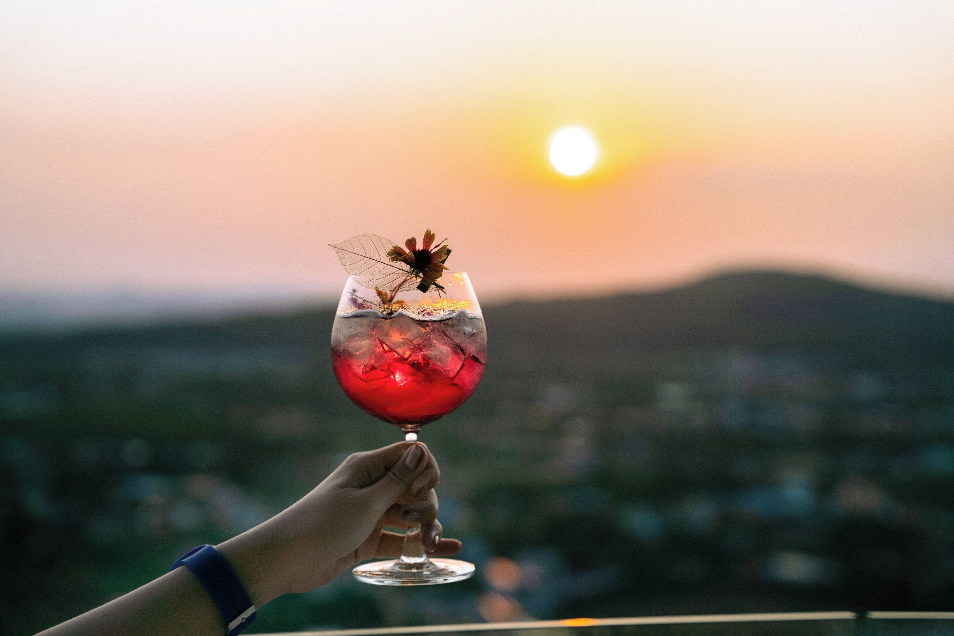 Una mano sosteniendo un vaso con una bebida roja y una hoja decorativa, sobre un fondo de atardecer.