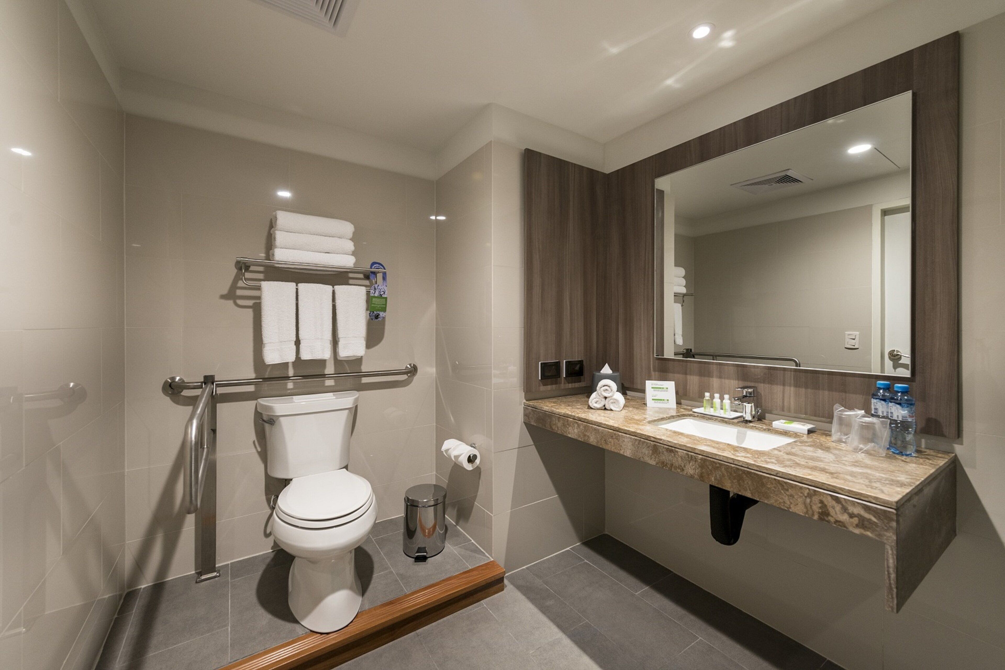 A modern bathroom with a toilet, handrails, a sink, and a mirror.