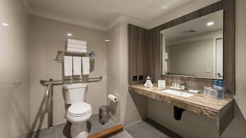 A modern bathroom with a toilet, handrails, a sink, and a mirror.