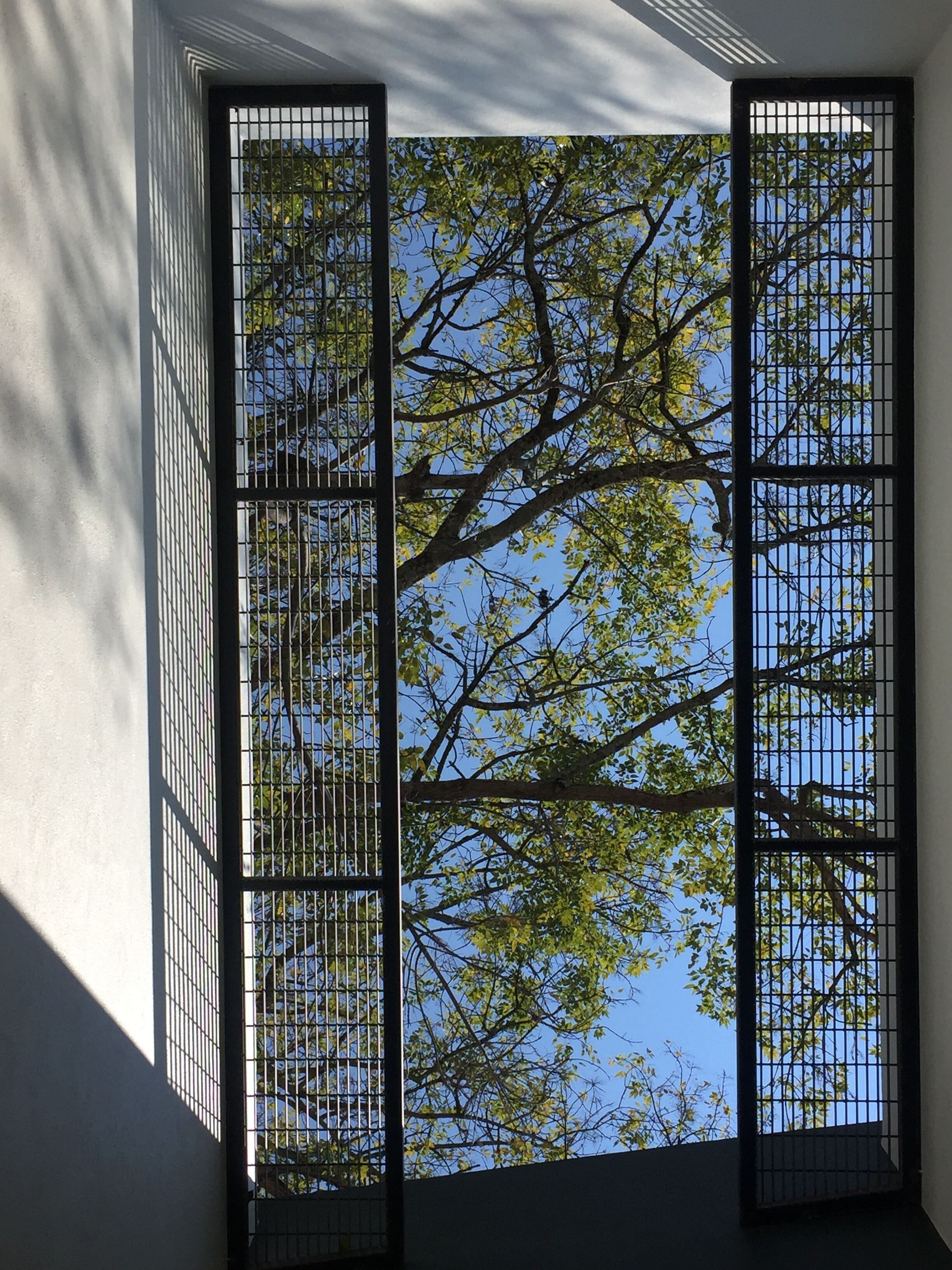 Photo - La Casa Rodavento