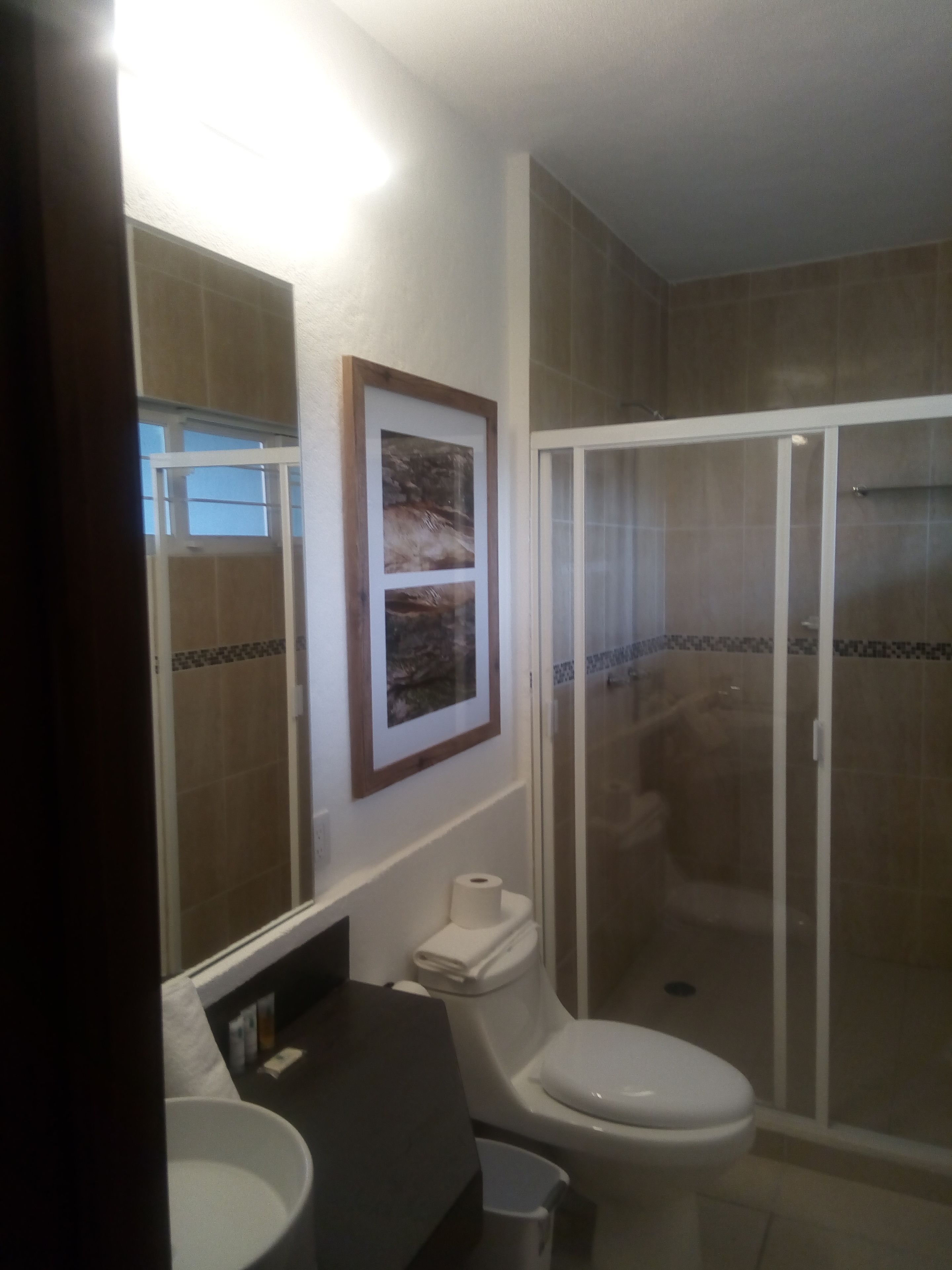 standard double room, 2 double beds | bathroom | shower, free toiletries, hair dryer, towels