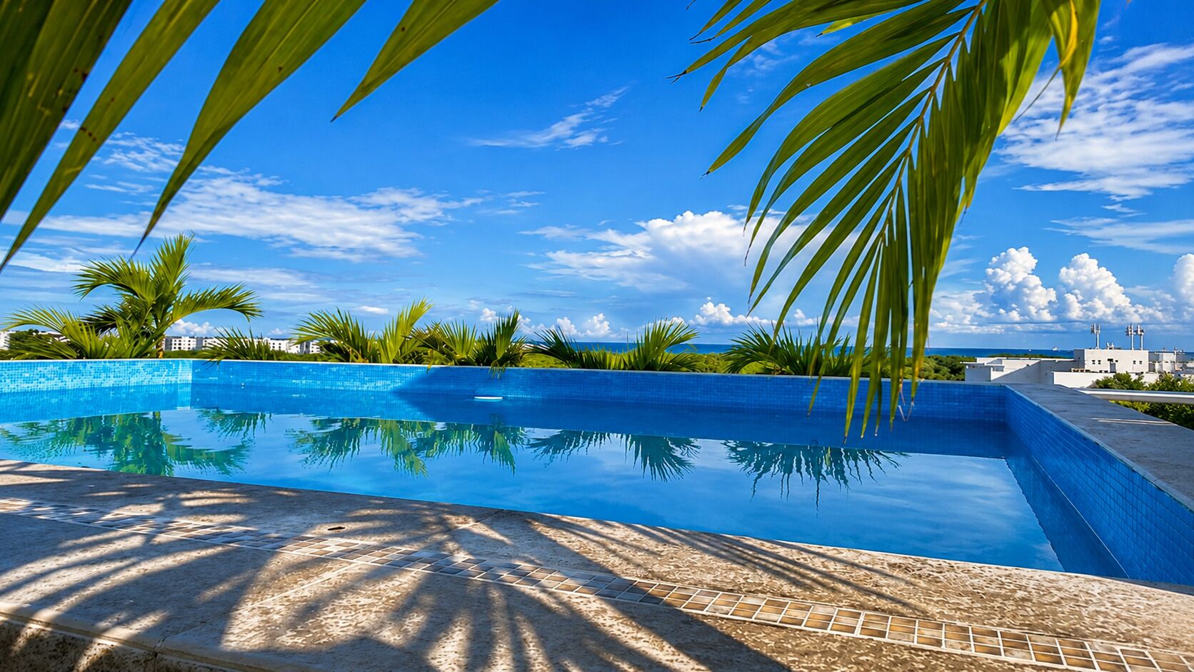 A clear blue swimming pool with a tiled edge, surrounded by palm trees and a clear sky.