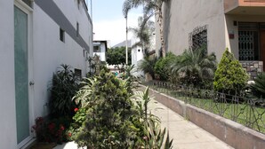 A narrow alleyway with a concrete path, bordered by a metal fence and various plants.