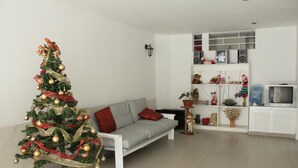 A living room with a Christmas tree, a grey sofa, a white cabinet, and a television.