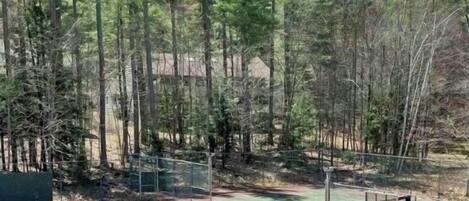Una cancha de tenis rodeada de árboles.