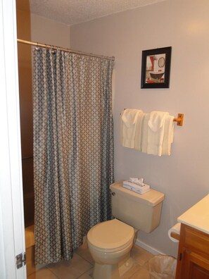 Combined shower/tub, hair dryer, towels, soap