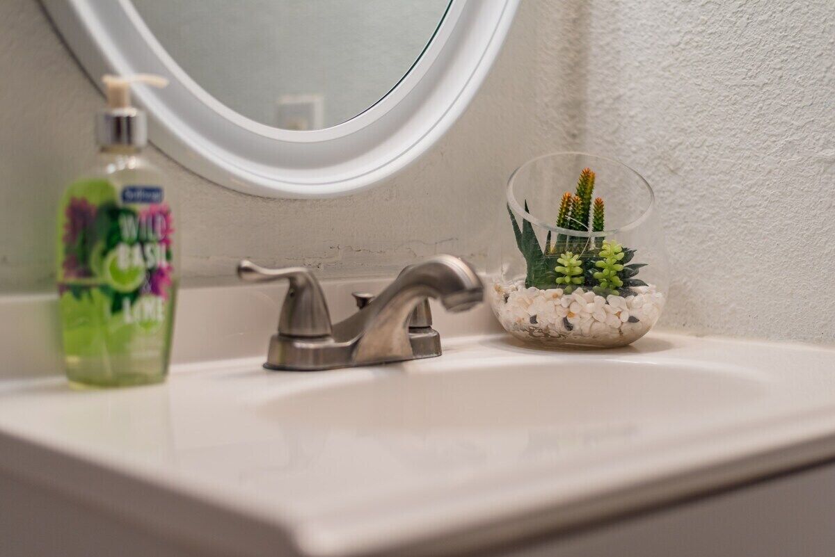 A bathroom sink with a chrome faucet, a bottle of Wild Basil Lime hand soap, and a small glass terrarium containing a cactus and white pebbles.