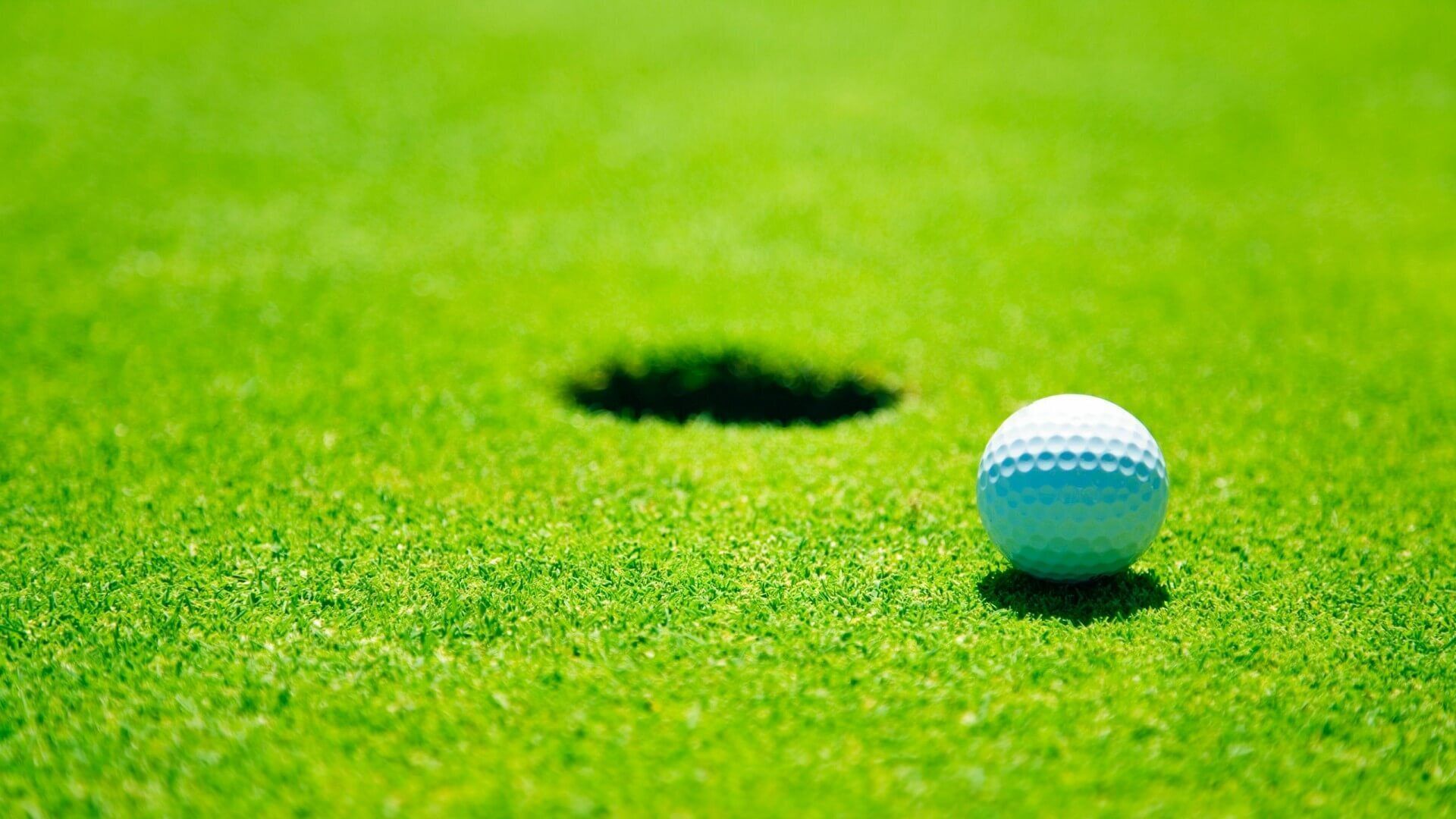 Arnold Palmer Design - Lakewood National Resort 