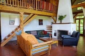 Smart TV, fireplace, books, music library