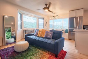 Télévision, lecteur de DVD, jouets, vidéothèque