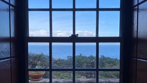 A window with a view of the sea and greenery.