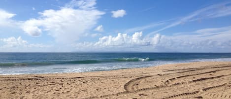 Playa en los alrededores, camastros y toallas de playa 