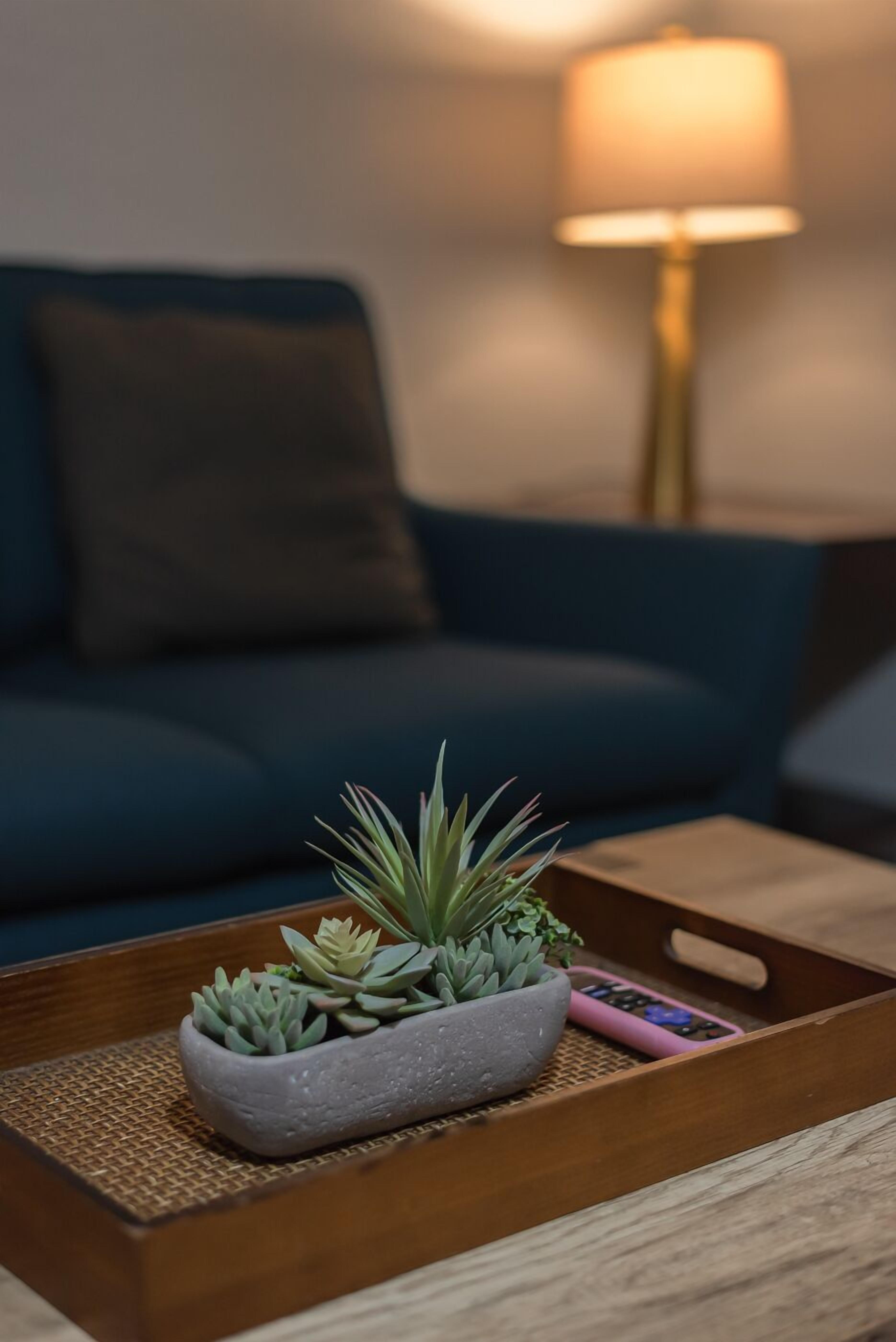 智能电视、电子游戏、办公室