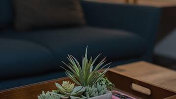 Smart TV, video games, offices