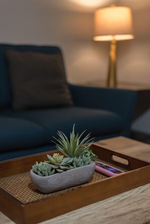 TV connectée, jeux vidéo, espaces bureaux