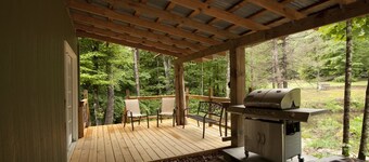 Private 50 ft waterfall. Eco-friendly, cozy shipping container cabin