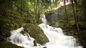 A waterfall in a forested area with rocks and trees. - Private 50 ft waterfall. Eco-friendly, cozy shipping container cabin (Tracy City)
