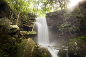 Property grounds - Private 50 ft waterfall. Eco-friendly, cozy shipping container cabin (Tracy City)