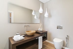 Ducha, secador de pelo y toallas
