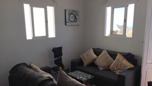 TV connectée, cheminée, lecteur de DVD, livres