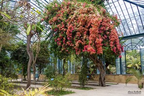 Property grounds - At Kalsa Quiet & Flowered Terrace Free Park 2 min away Ideal for remote working! (Palermo)