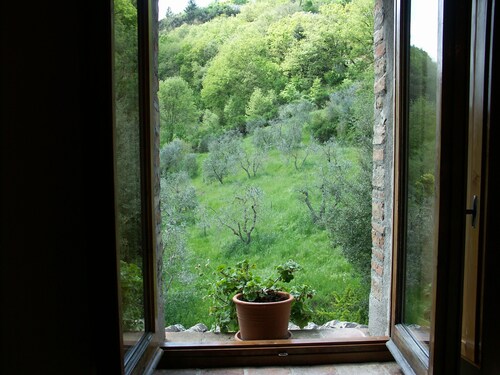 A lovely  Tuscan Country Villa only for you with a large garden for families