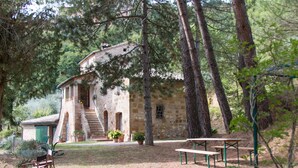 Ein rustikales Steinhaus mit einer Treppe, die zu einem Balkon führt, umgeben von Bäumen und einer Picknickzone mit Bänken.