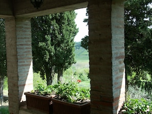 Property grounds - A lovely Tuscan Country Villa only for you with a large garden for families (Montepulciano)