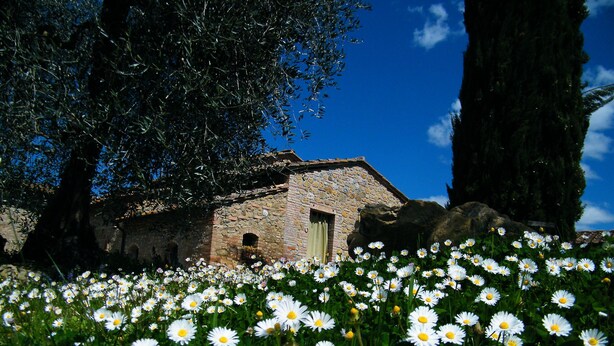 Um edifício de pedra com uma porta, rodeado por um campo de flores brancas.